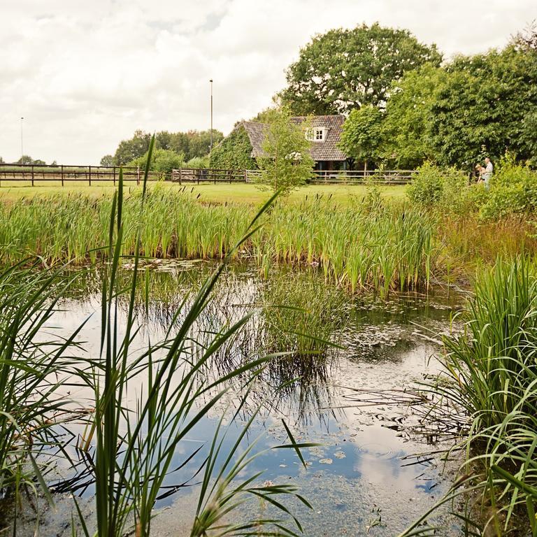 Landrop Bed & Breakfast Hoogeloon Exterior foto